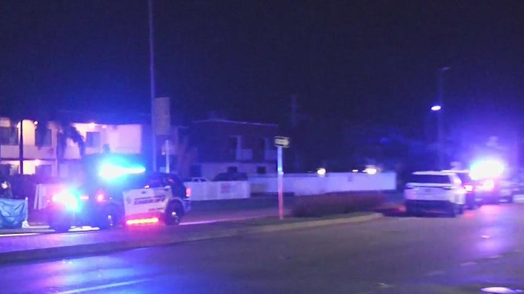 Woman accused of killing man in Dania Beach hit-and-run, BSO says — CBS Miami, Mill Valley Community news