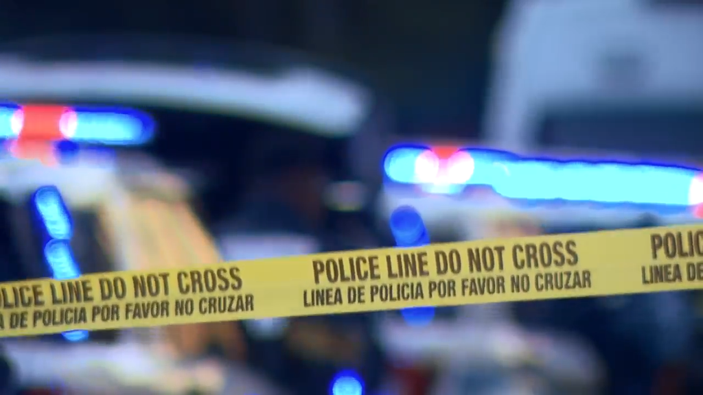Man accused of stabbing, killing his own mother in Tamarac, BSO says — CBS Miami, Mill Valley Health news