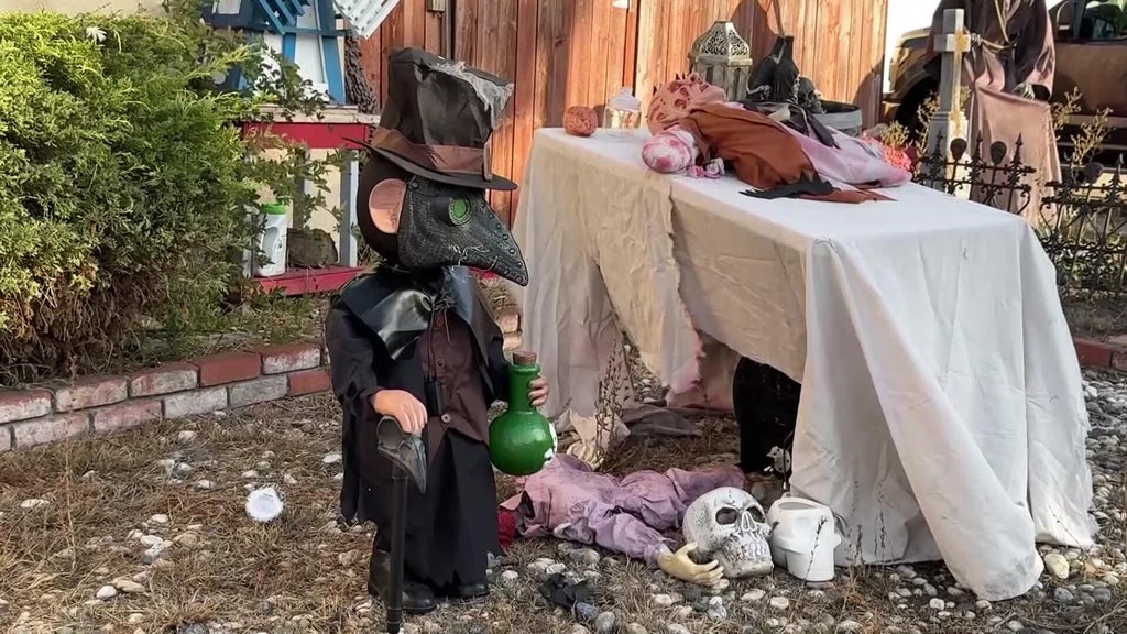 Halloween decorations worth roughly $700 stolen from San Leandro home — CBS Bay Area (KPIX), Mill Valley Schools news