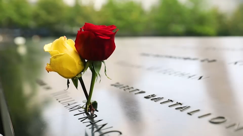 Second 9/11 victim identified with breakthrough genetic genealogy, NYC officials say
— ABC 7 Bay Area, Mill Valley Community news