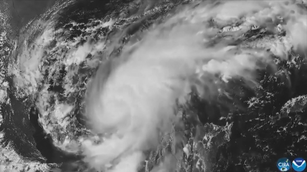 Hurricane Isaias: Residents board up windows and National Guard troops deploy as storm nears US Gulf Coast
— ABC 7 Bay Area, Mill Valley Sports news