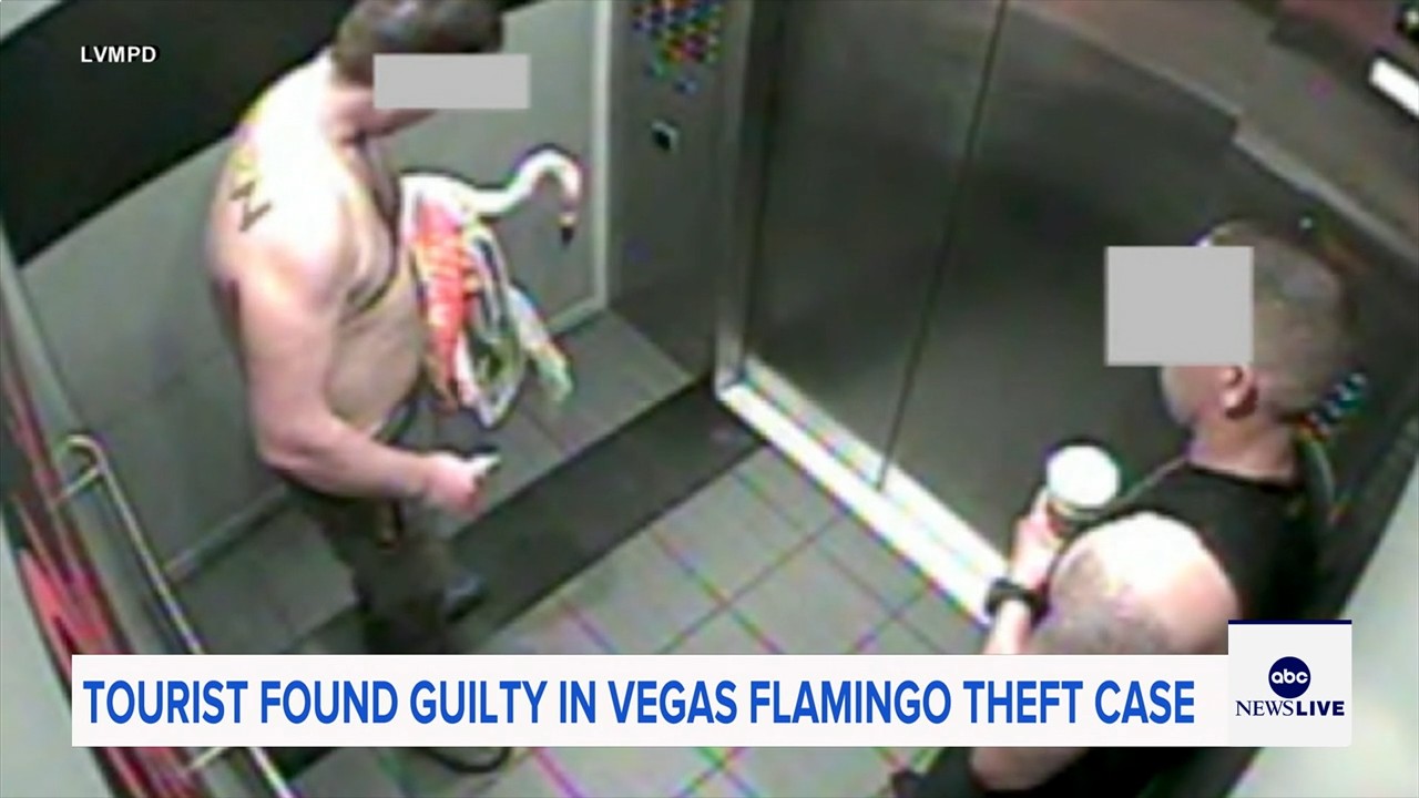 Man who snatched Peachy the flamingo from Las Vegas hotel exhibit found guilty of animal cruelty

       — ABC 7 Bay Area, Mill Valley Arts news