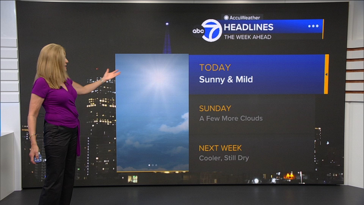 AccuWeather Forecast: Sunny and mild
— ABC 7 Bay Area, Mill Valley Community news
