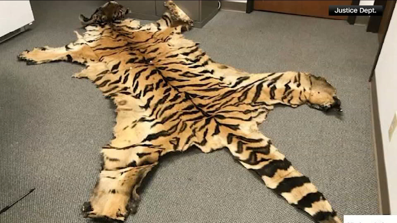 California couple pleads guilty to trafficking wildlife
— Mill Valley Community news