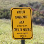 Pointers for Public Land Hunting — NewsDakota, Mill Valley Sports news