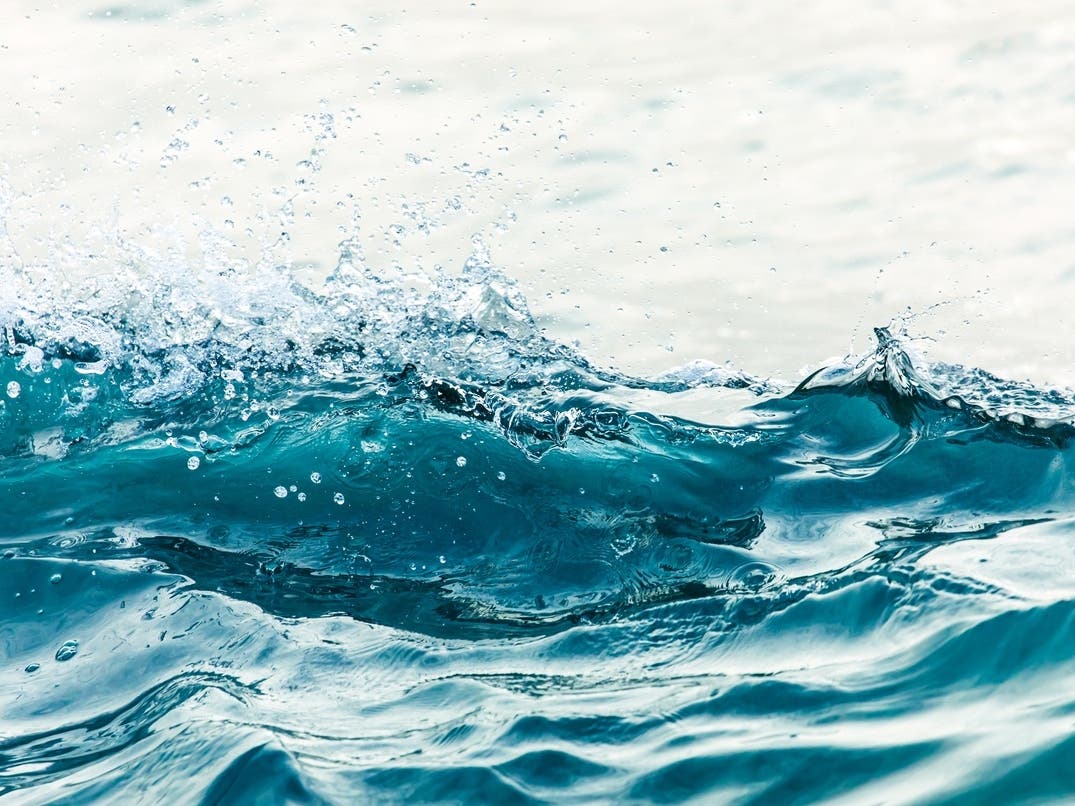 Deadly Hostage Standoff Details | Kelvin Wave Brings Record Sea Levels: Patch PM — San Francisco Patch, Mill Valley Community news