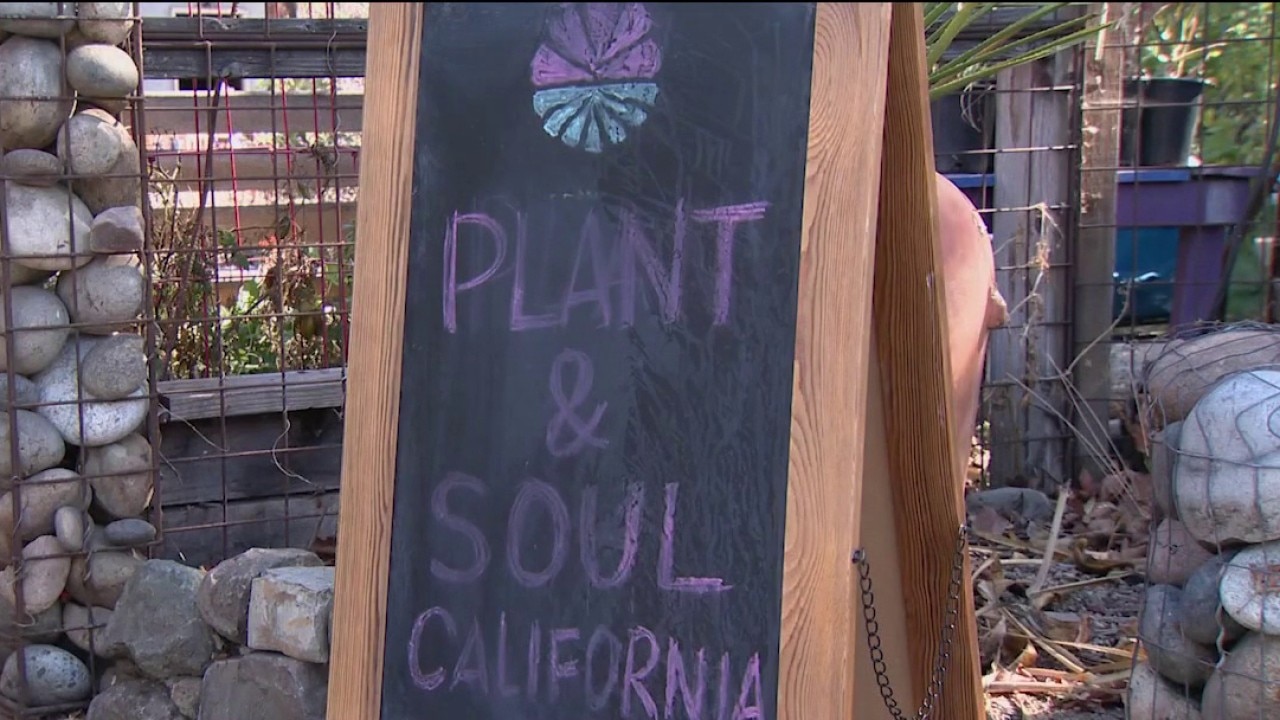San Jose community garden faces possible eviction — KTVU FOX 2 Bay Area, Mill Valley Schools news