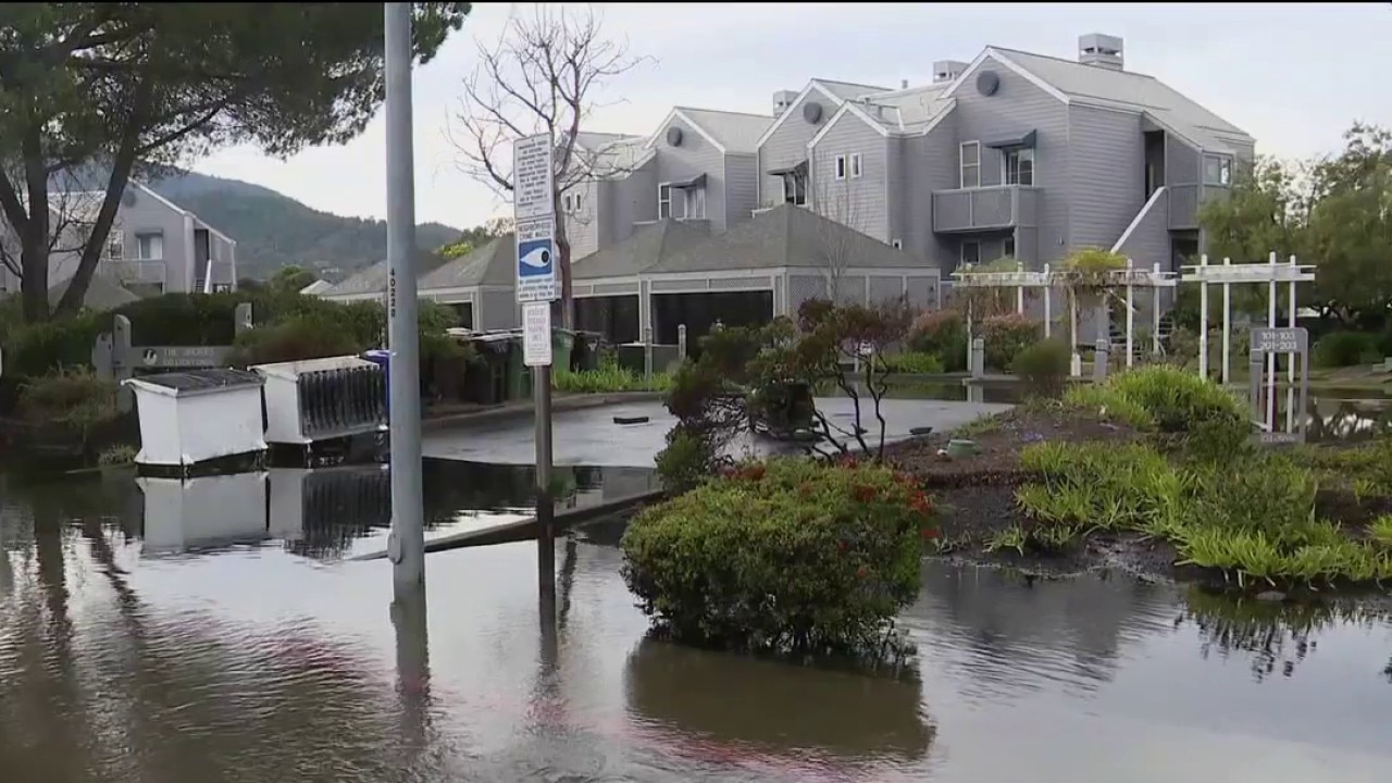 North Bay is flooding from tides and it hasn't even rained  — Mill Valley Community news