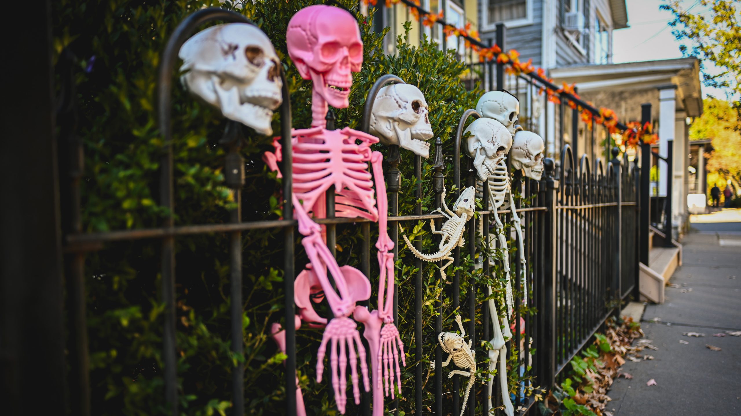 America's best cities for Halloween, ranked — KTVU FOX 2 Bay Area, Mill Valley Community news