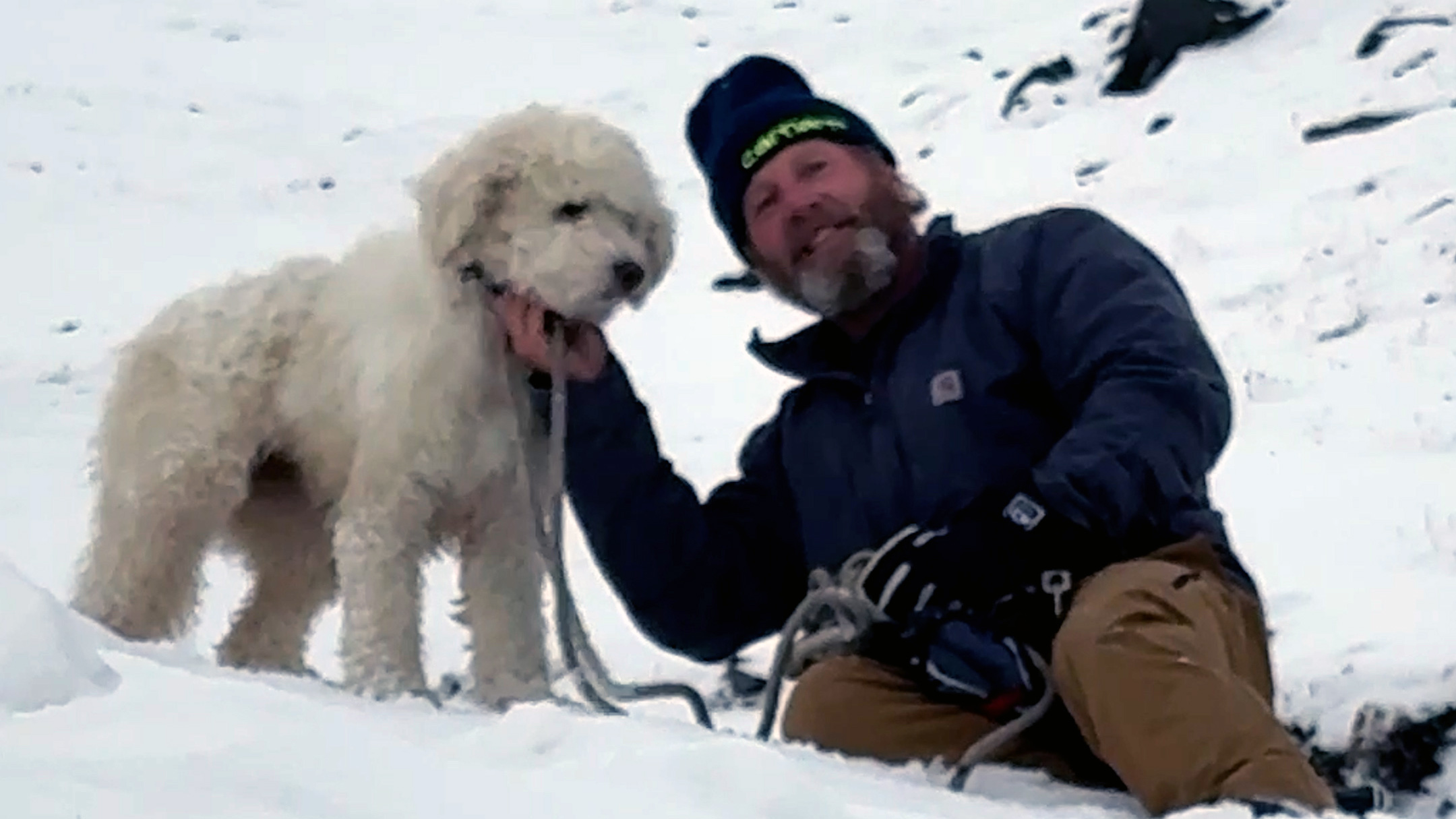 Watch: Dog lost in Alaska avalanche miraculously found 2 days later — KTVU FOX 2 Bay Area, Mill Valley Community news